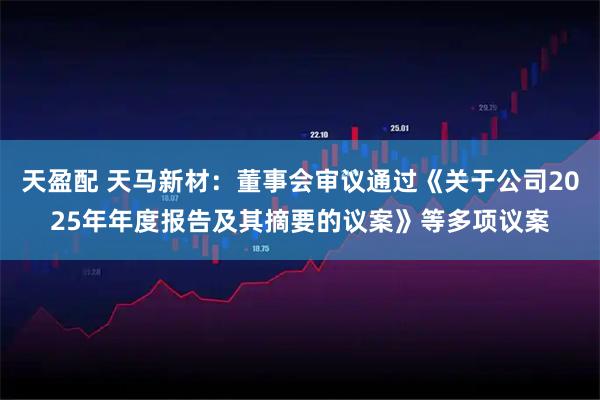 天盈配 天马新材：董事会审议通过《关于公司2025年年度报告及其摘要的议案》等多项议案