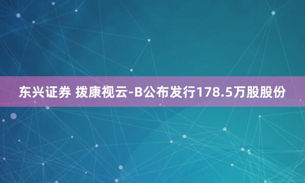 东兴证券 拨康视云-B公布发行178.5万股股份